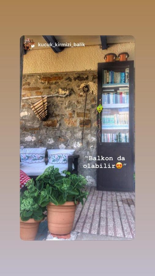 מלון İmroz Dimitri Ada Evi & Restaurant מראה חיצוני תמונה